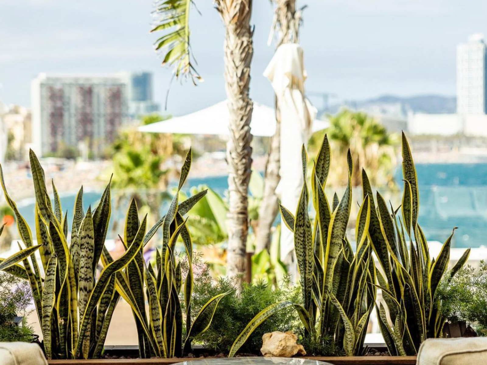 Elegant luxury wedding reception venue in Barcelona with sophisticated dining setup