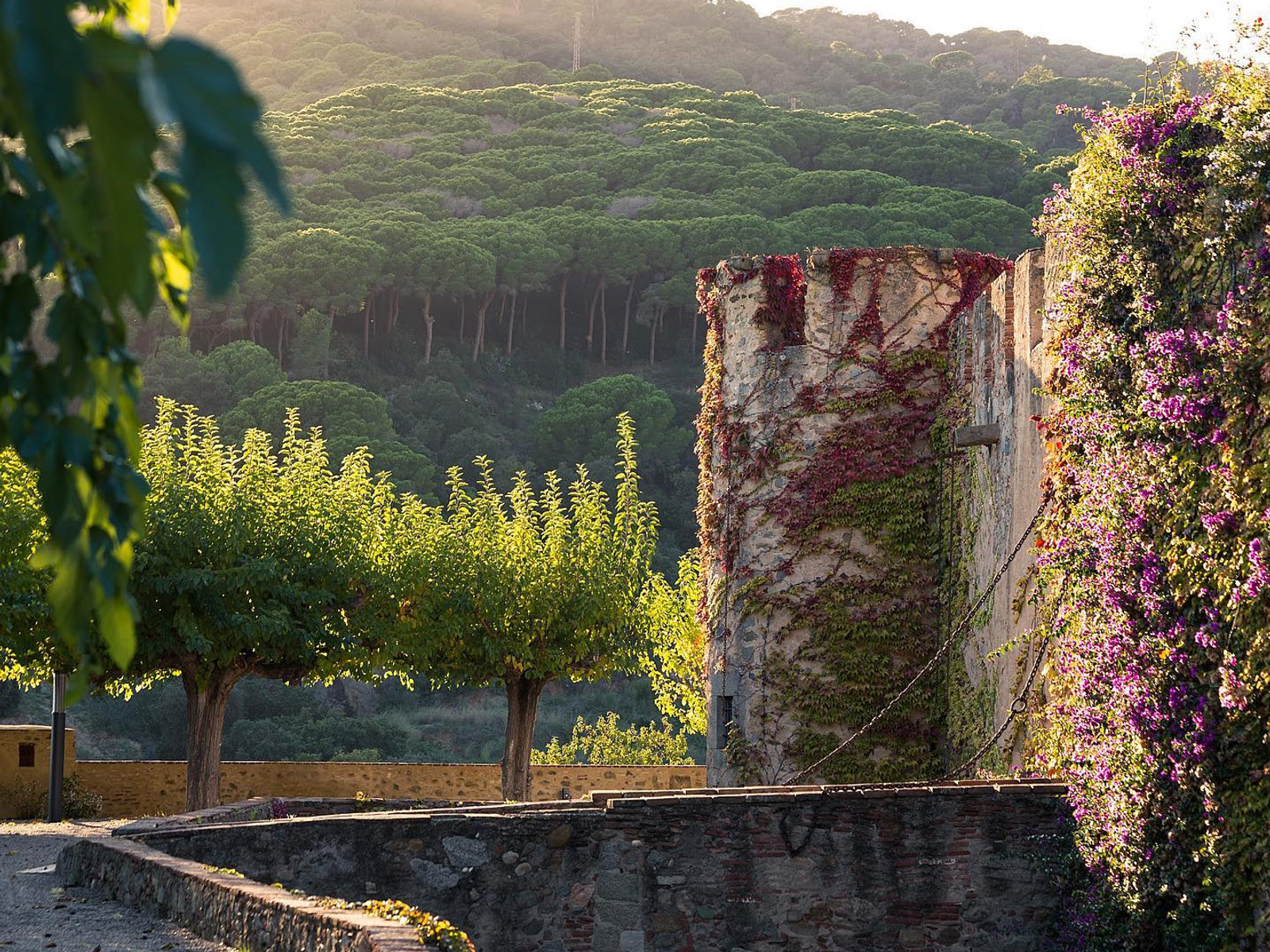 Discover the Beauty of Castillo de Vilassar : Wedding Planning