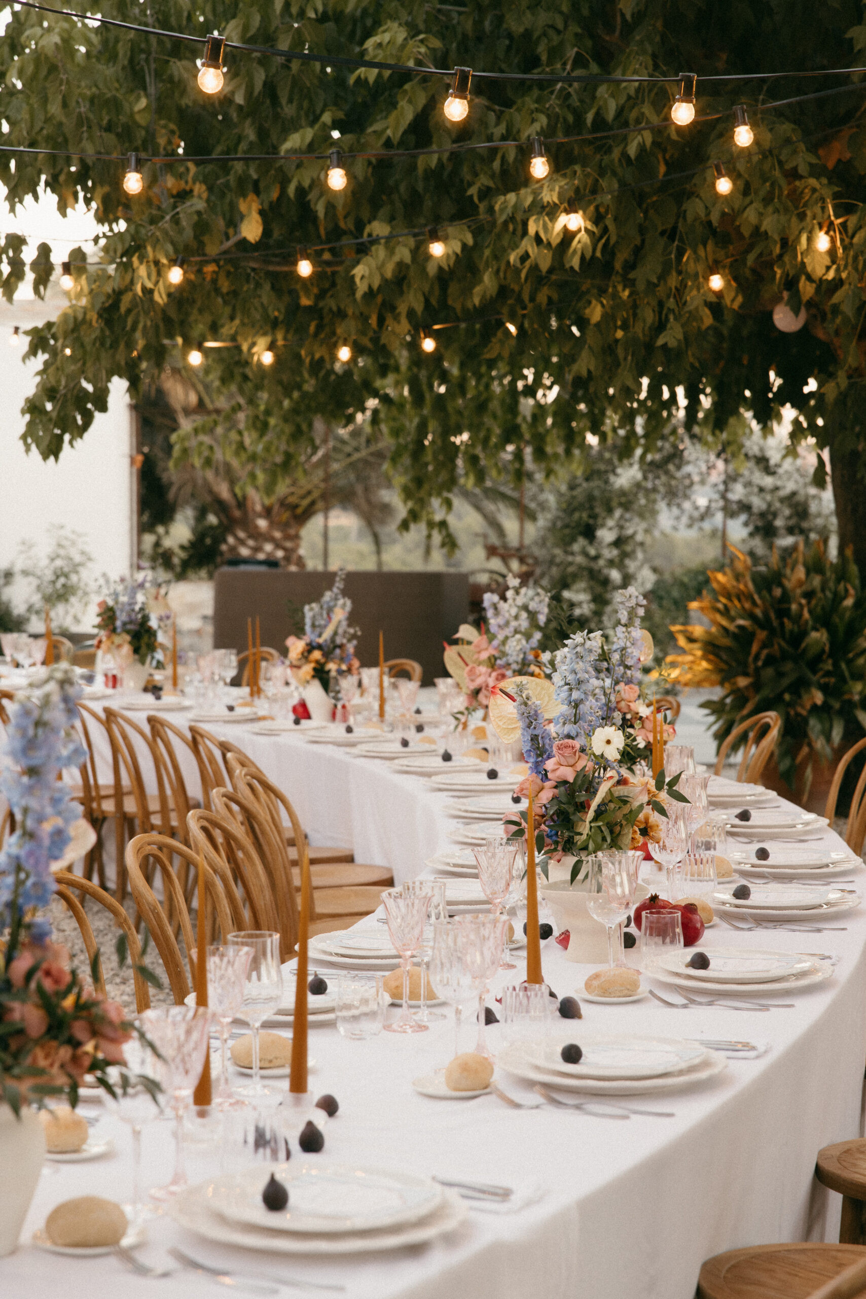 Mas Palou Venue Details